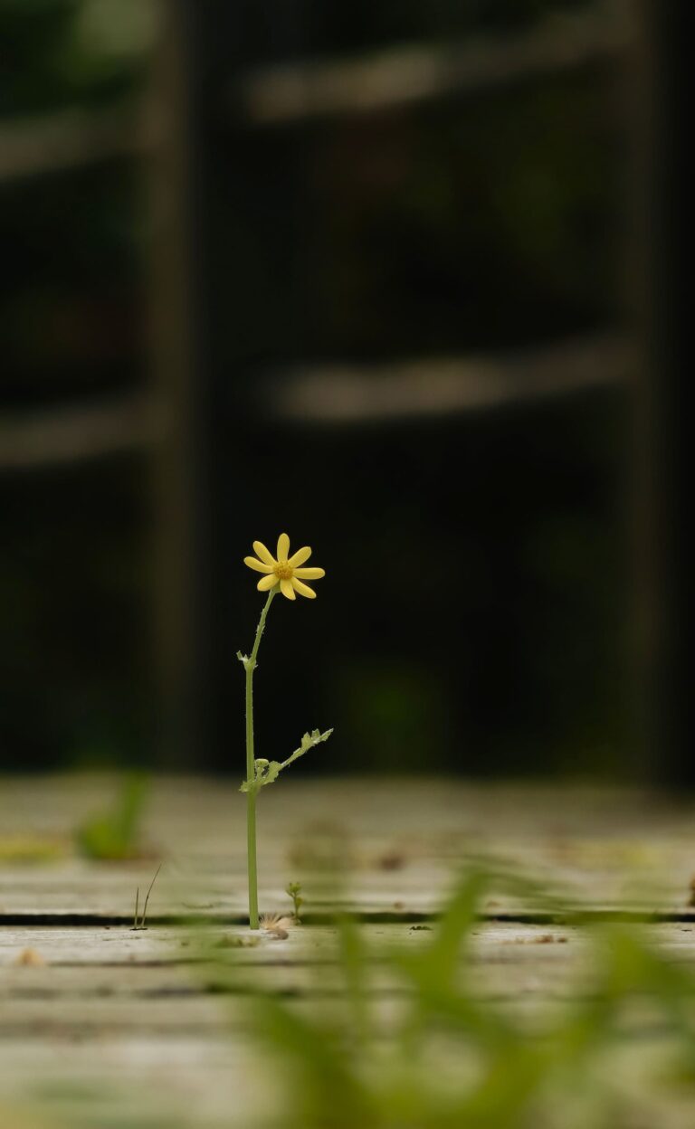 Resiliencia